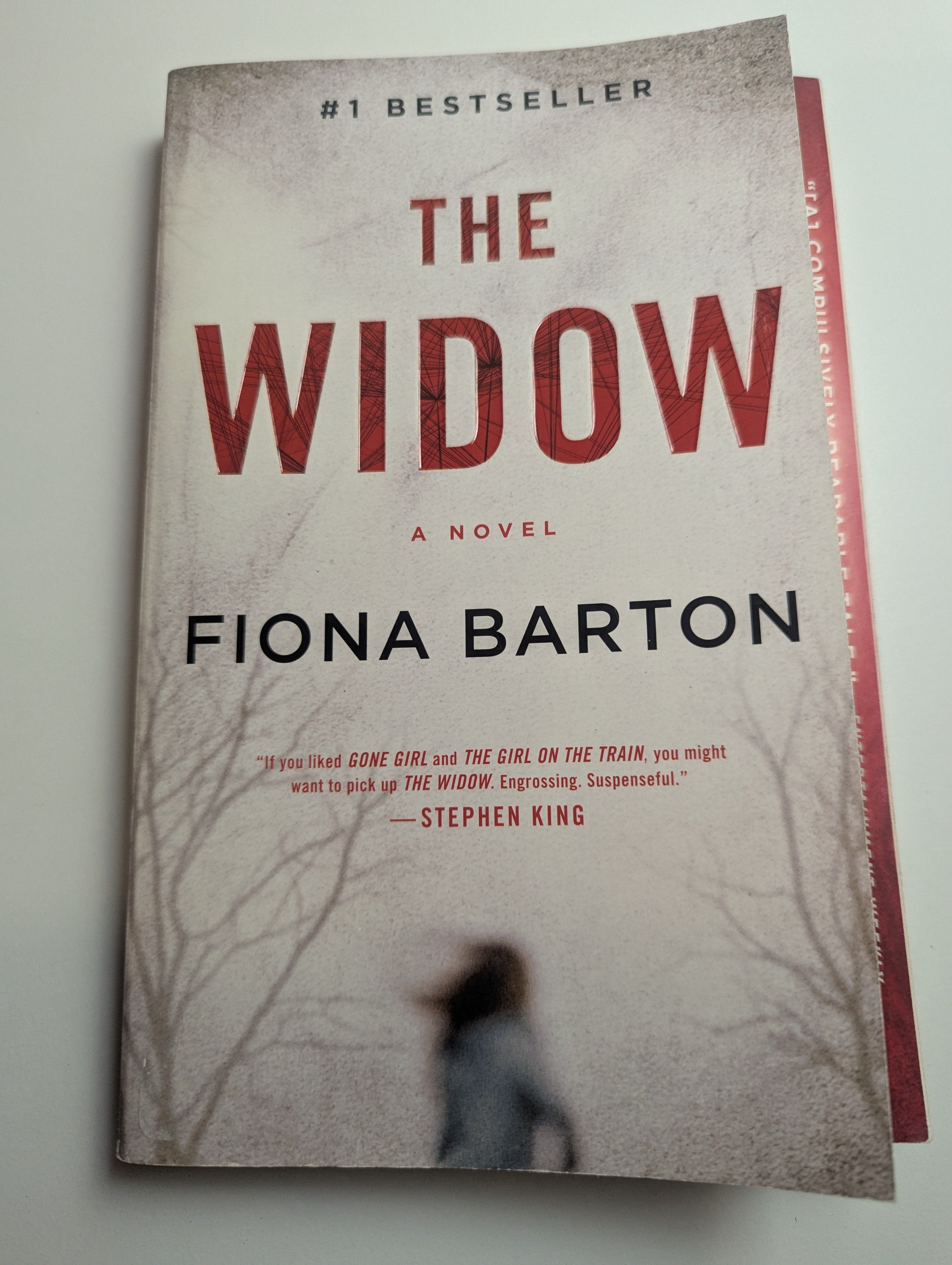 The Widow — by Fiona Barton - Lightly Used