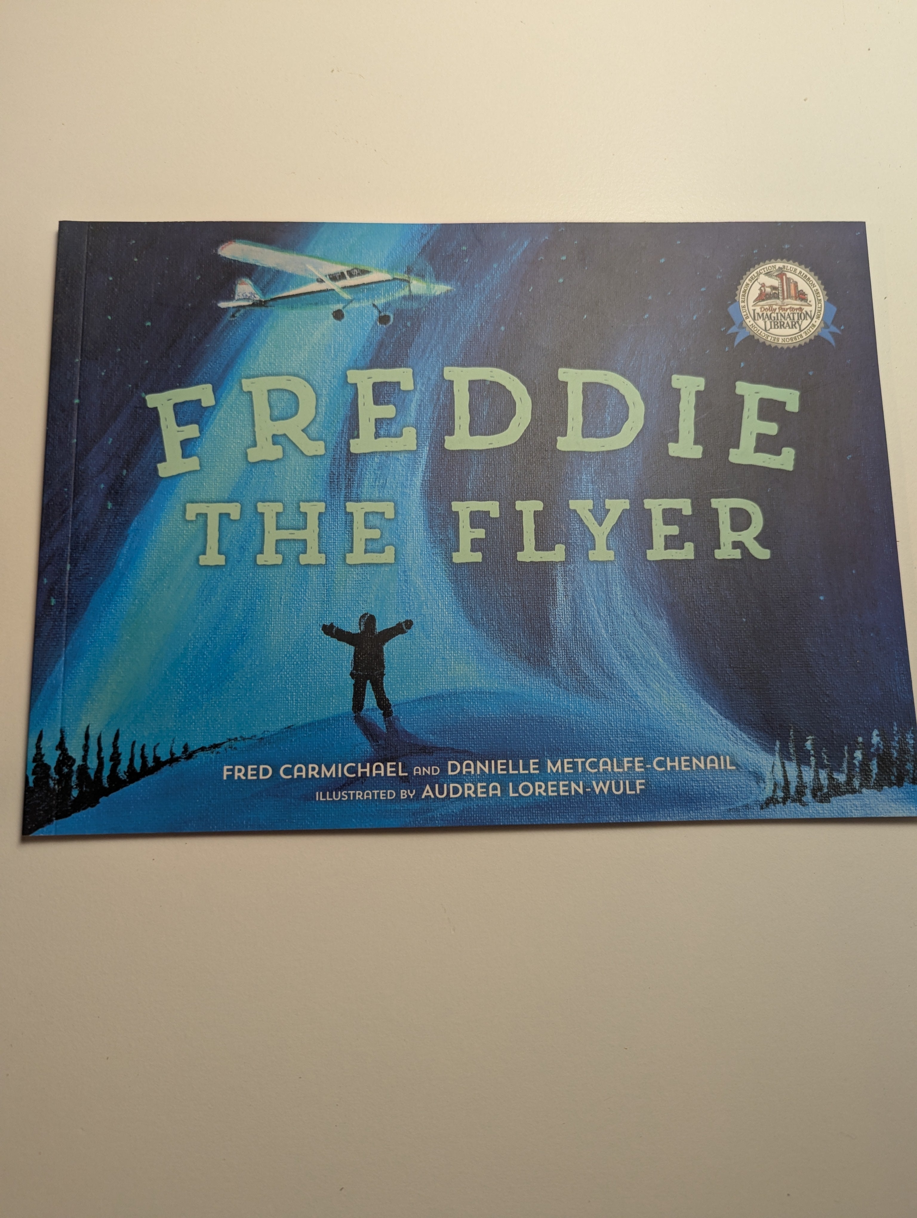 Freddie the Flyer — by Fred Carmichael &amp; Danielle Metcalfe-Chenail - Lightly Used