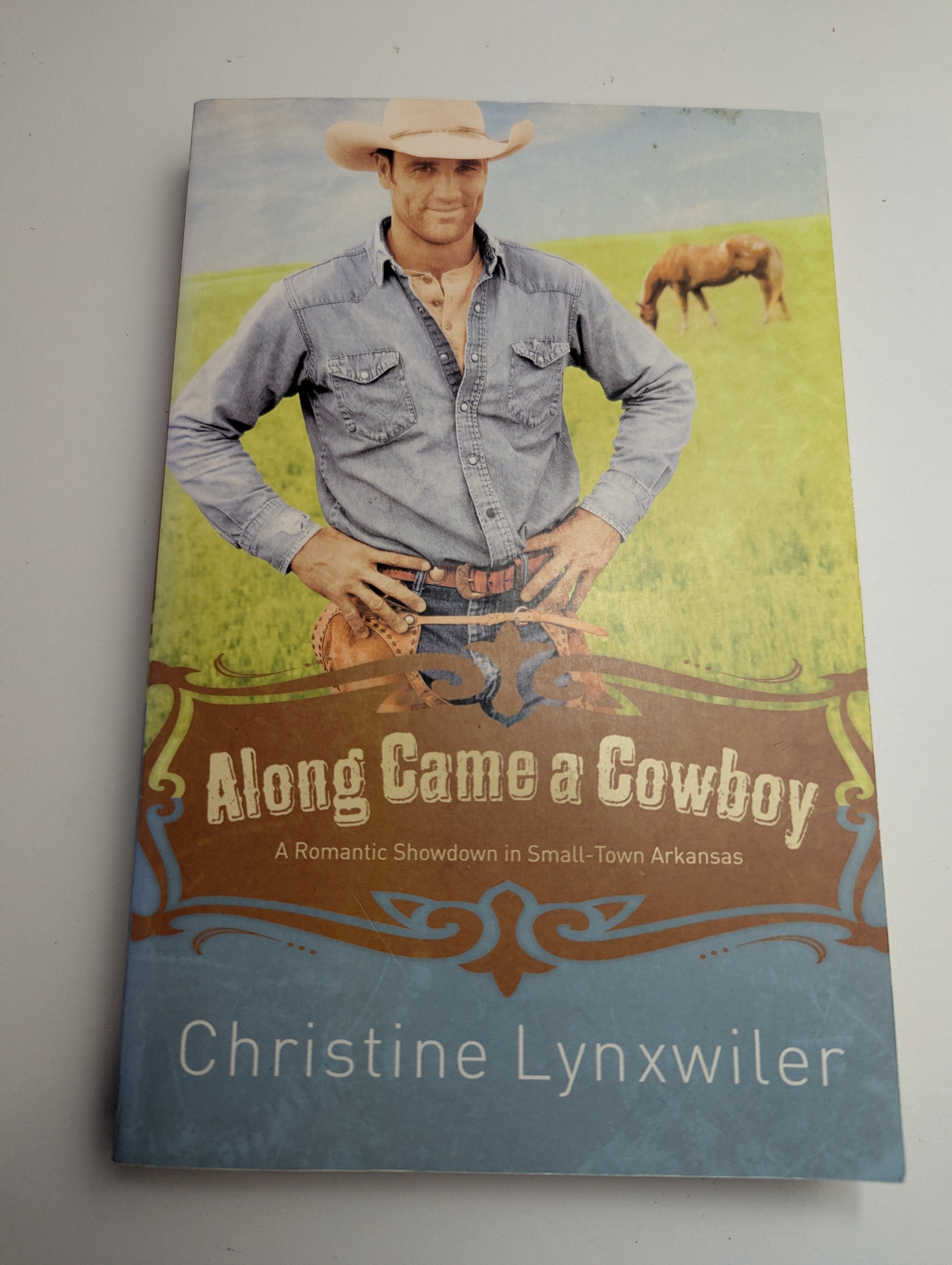 Alone Came a Cowboy — by Christine Lynxwiler - Lightly Used