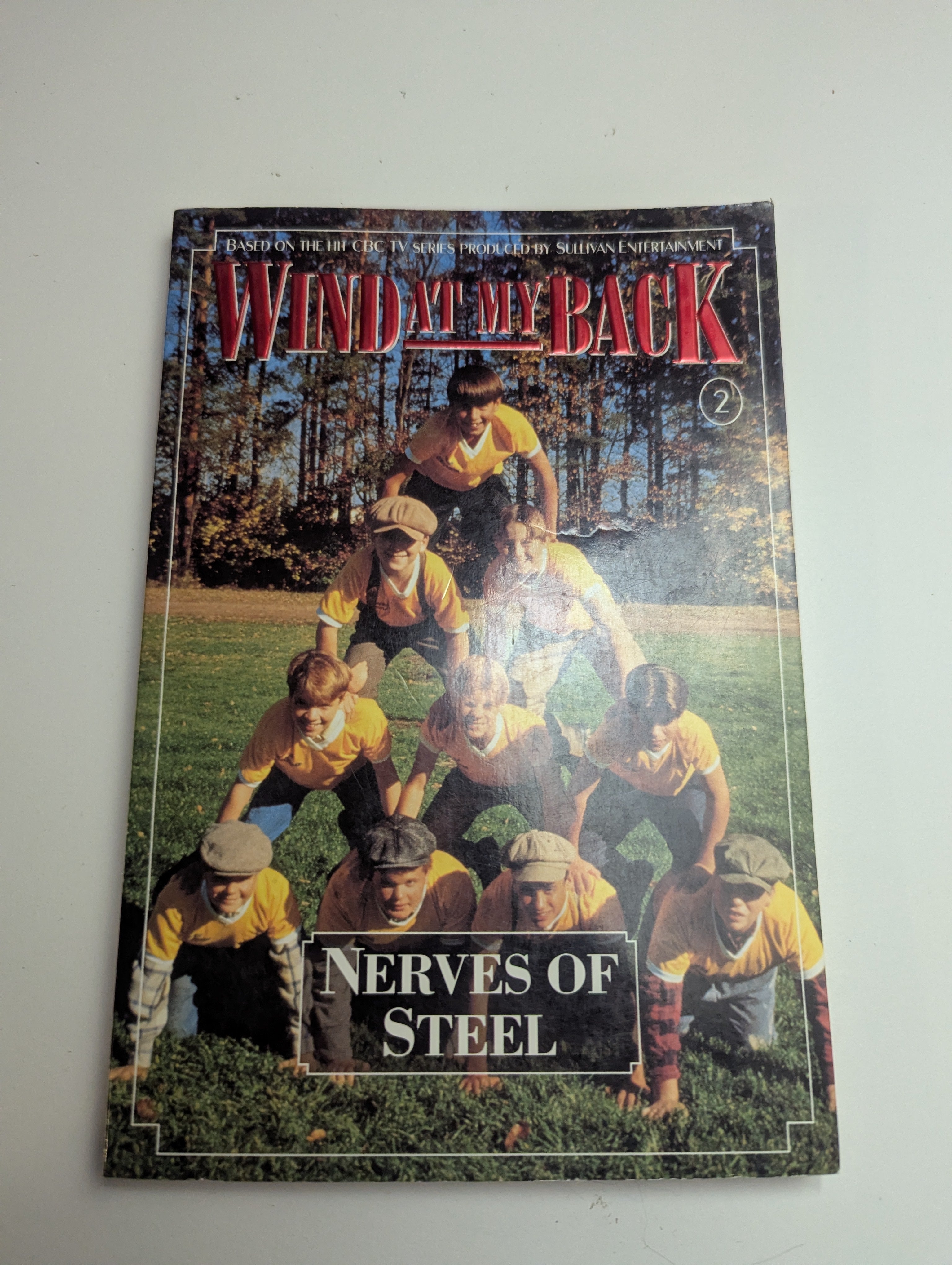 Wind at My Back: Nerves of Steel (Book 2) — by Fiona McHugh - Lightly Used