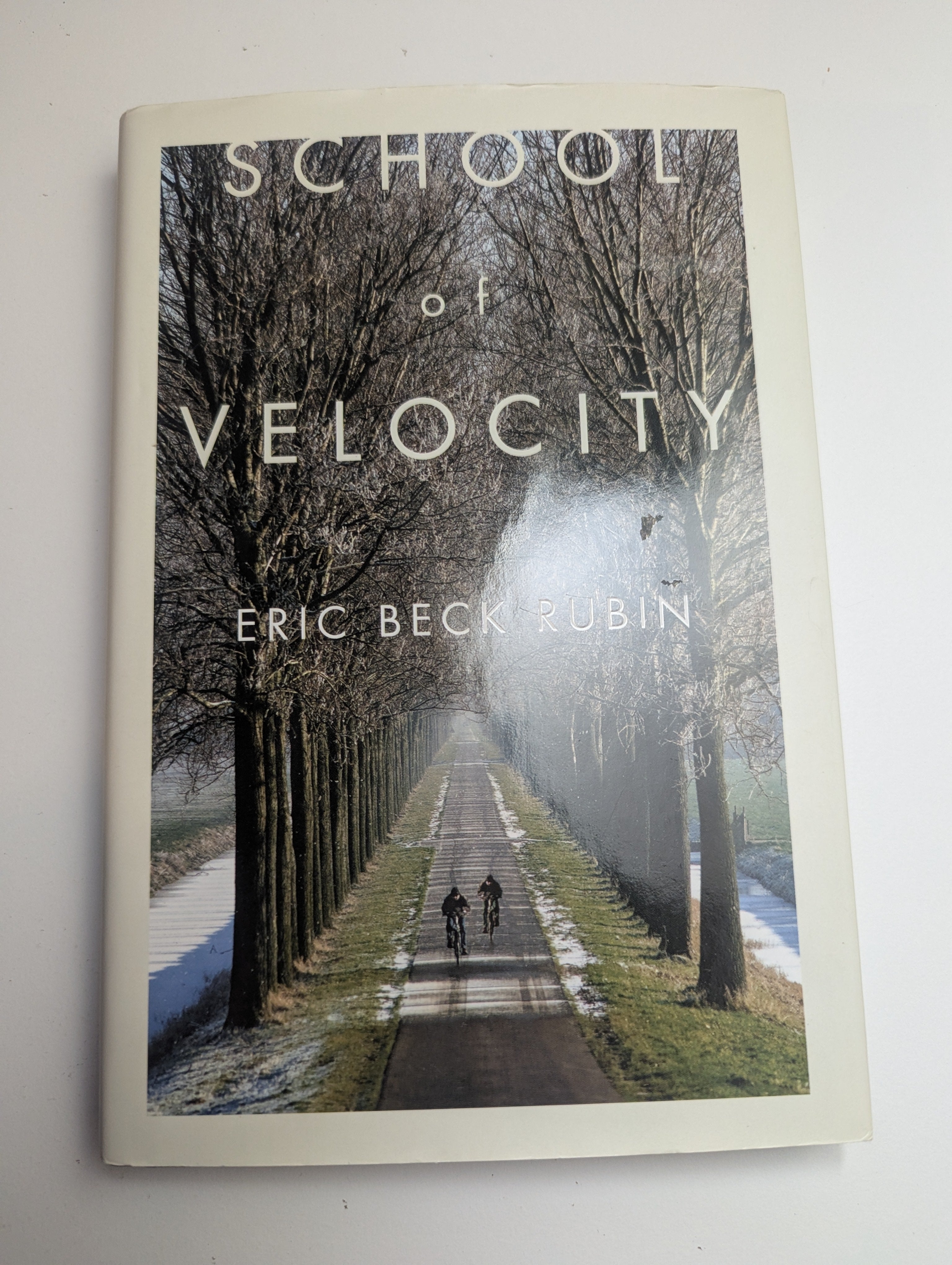 The School of Velocity — by Eric Beck Rubin - Lightly Used