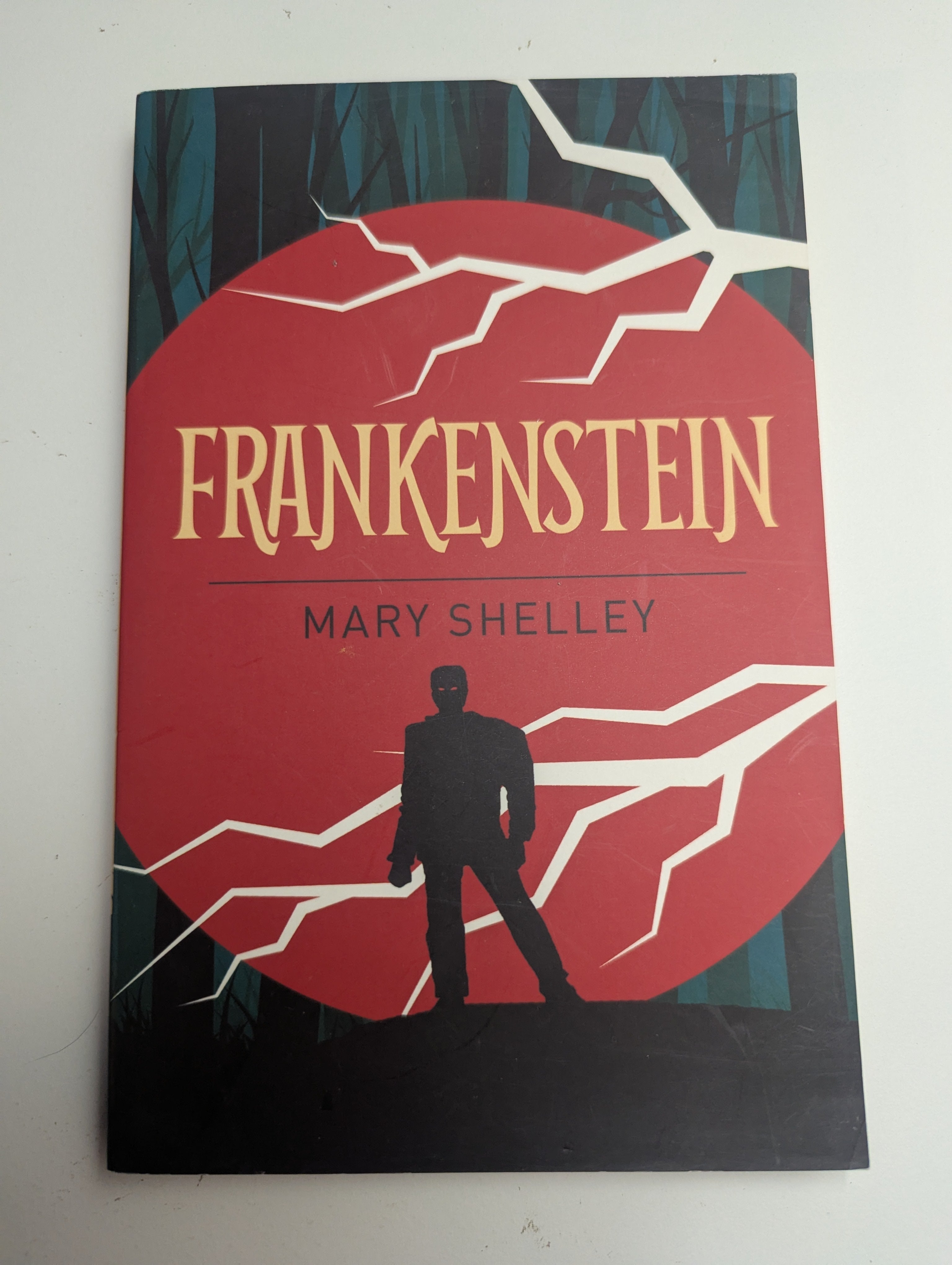 Frankenstein — by Mary Shelley - Lightly Used
