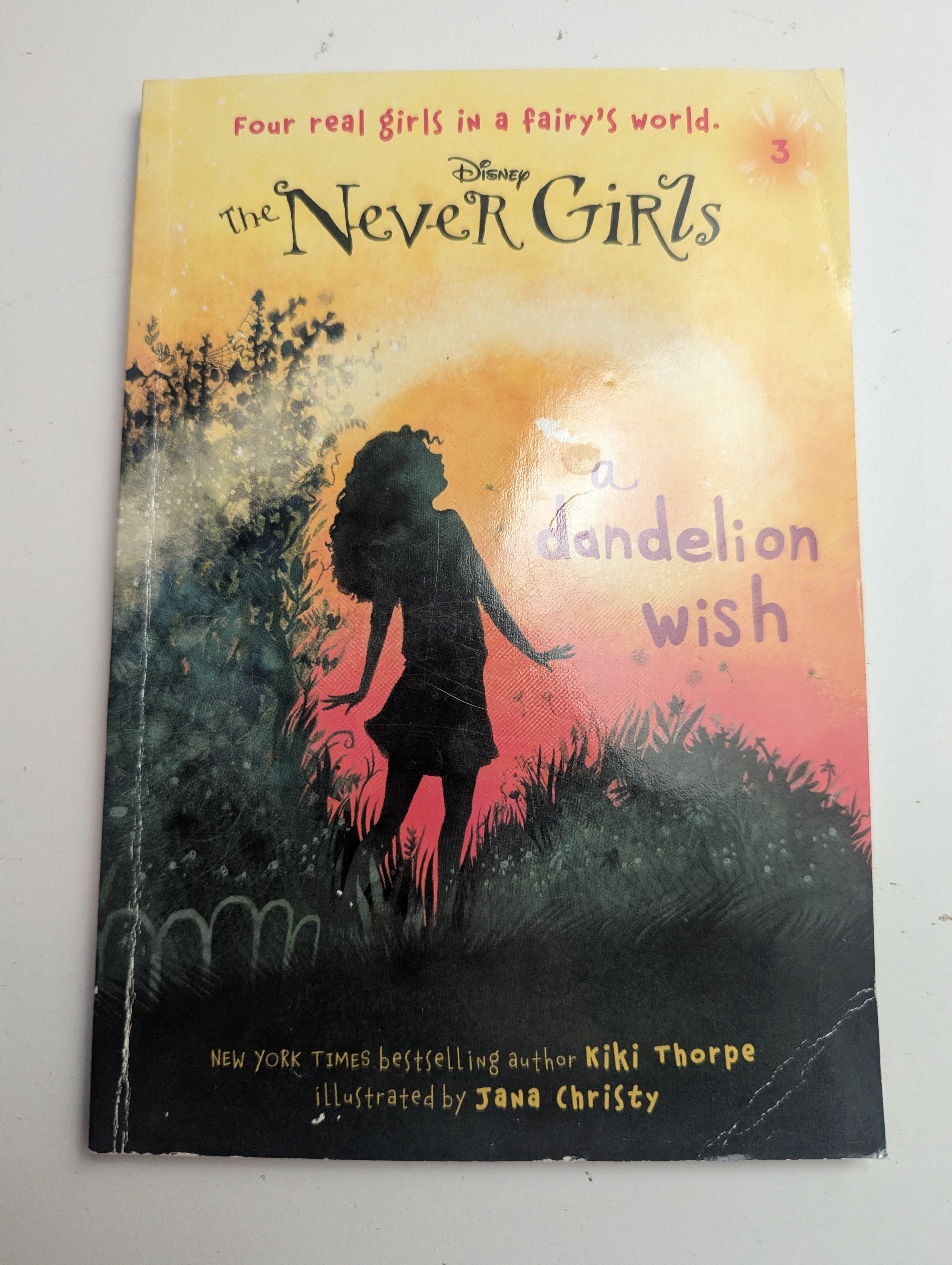 The Never Girls: A Dandelion Wish — by Kiki Thorpe - Lightly Used