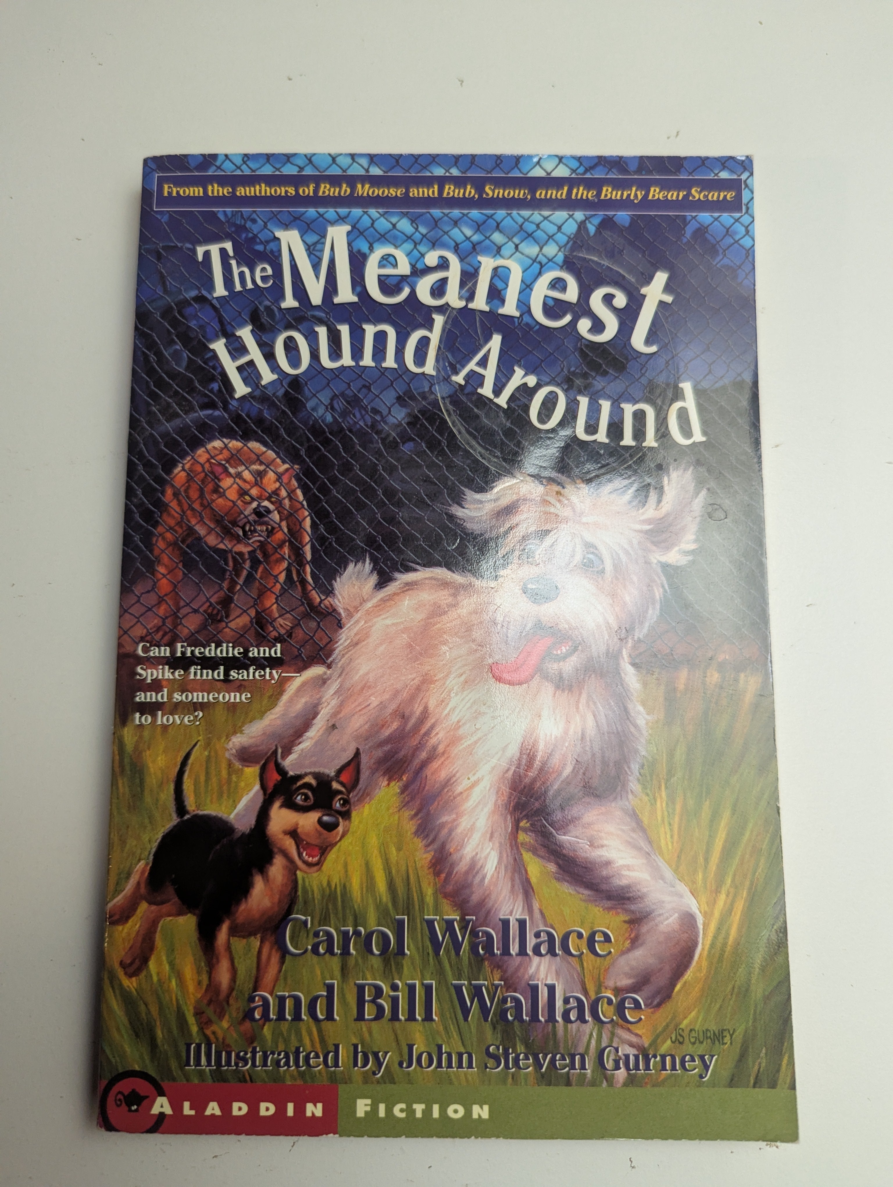 The Meanest Hound Around — by Carol Wallace & Bill Wallace - Lightly Used
