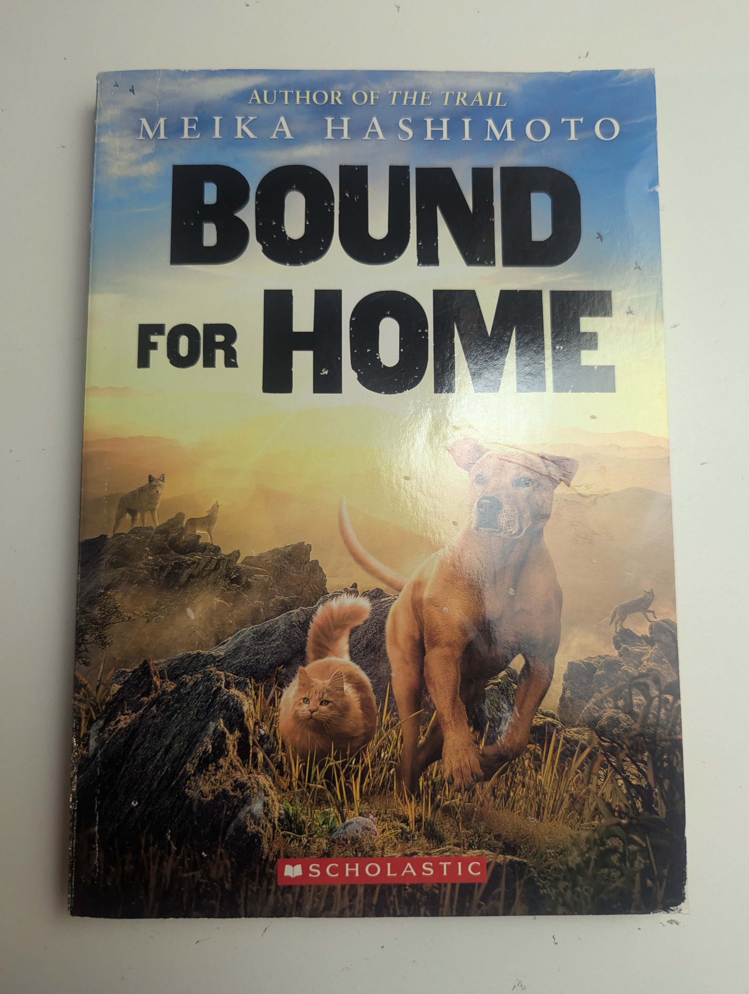 Bound for Home — by Meika Hashimoto - Lightly Used