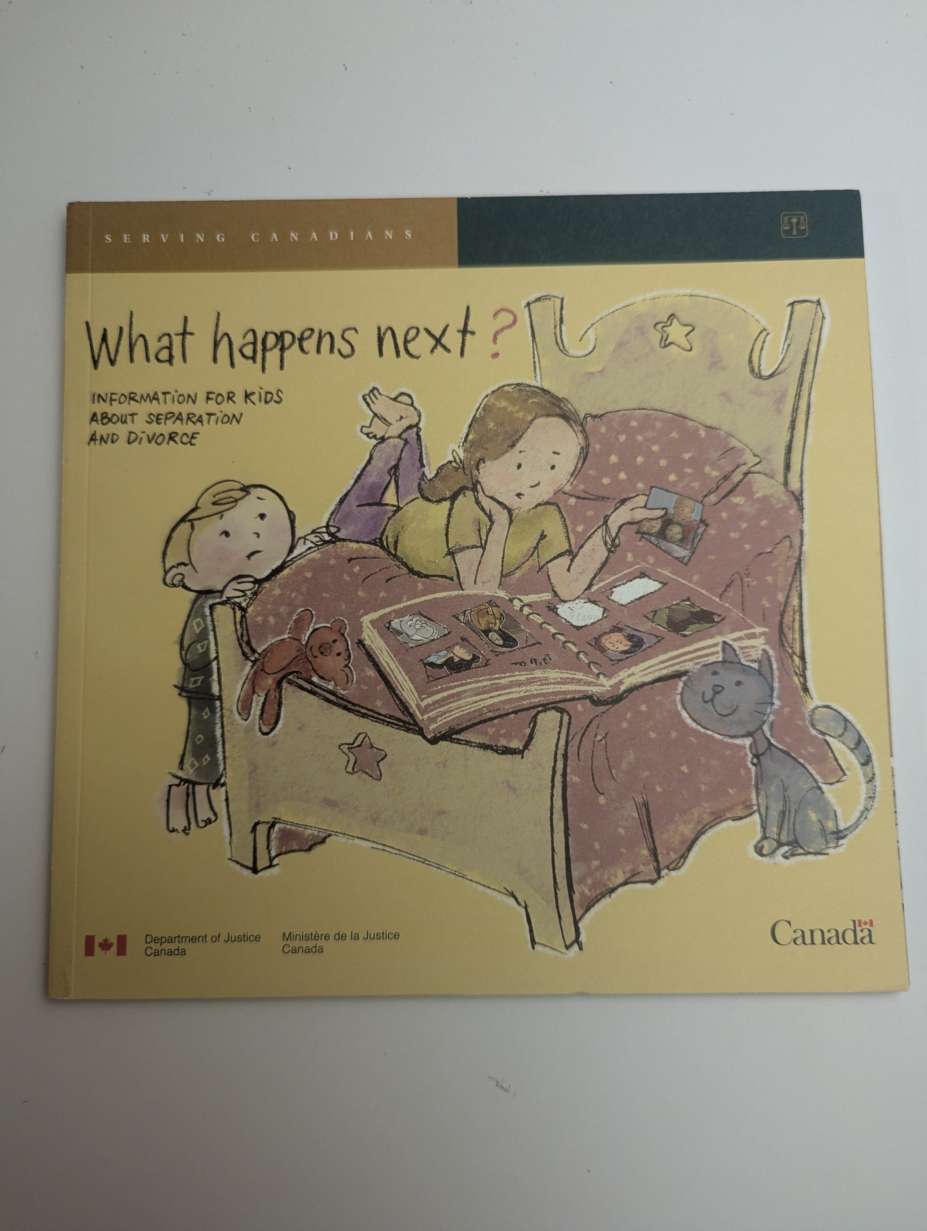 What Happens Next? — Information for Kids About Separation and Divorce - Lightly Used