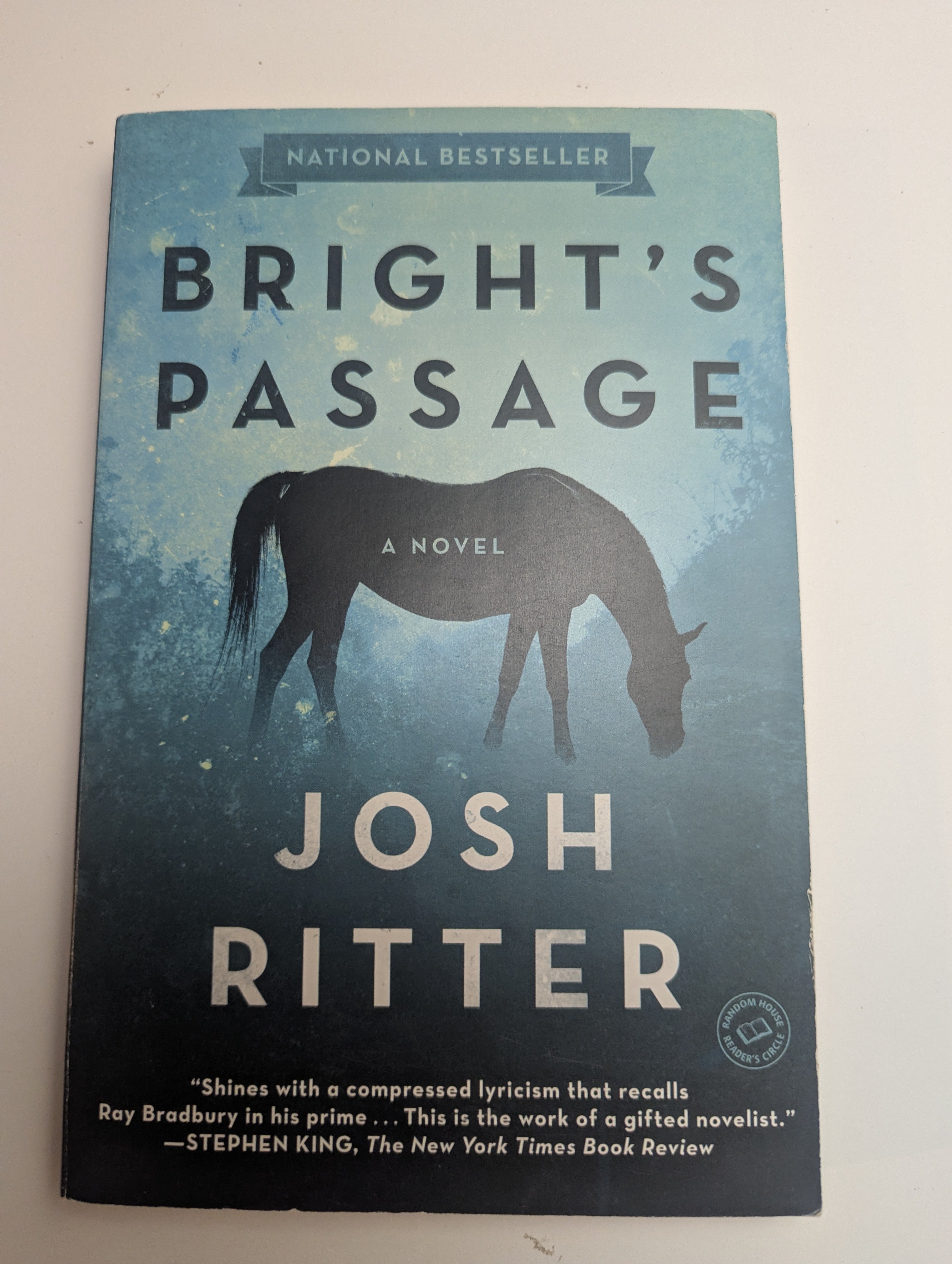 Bright’s Passage — by Josh Ritter - Lightly Used