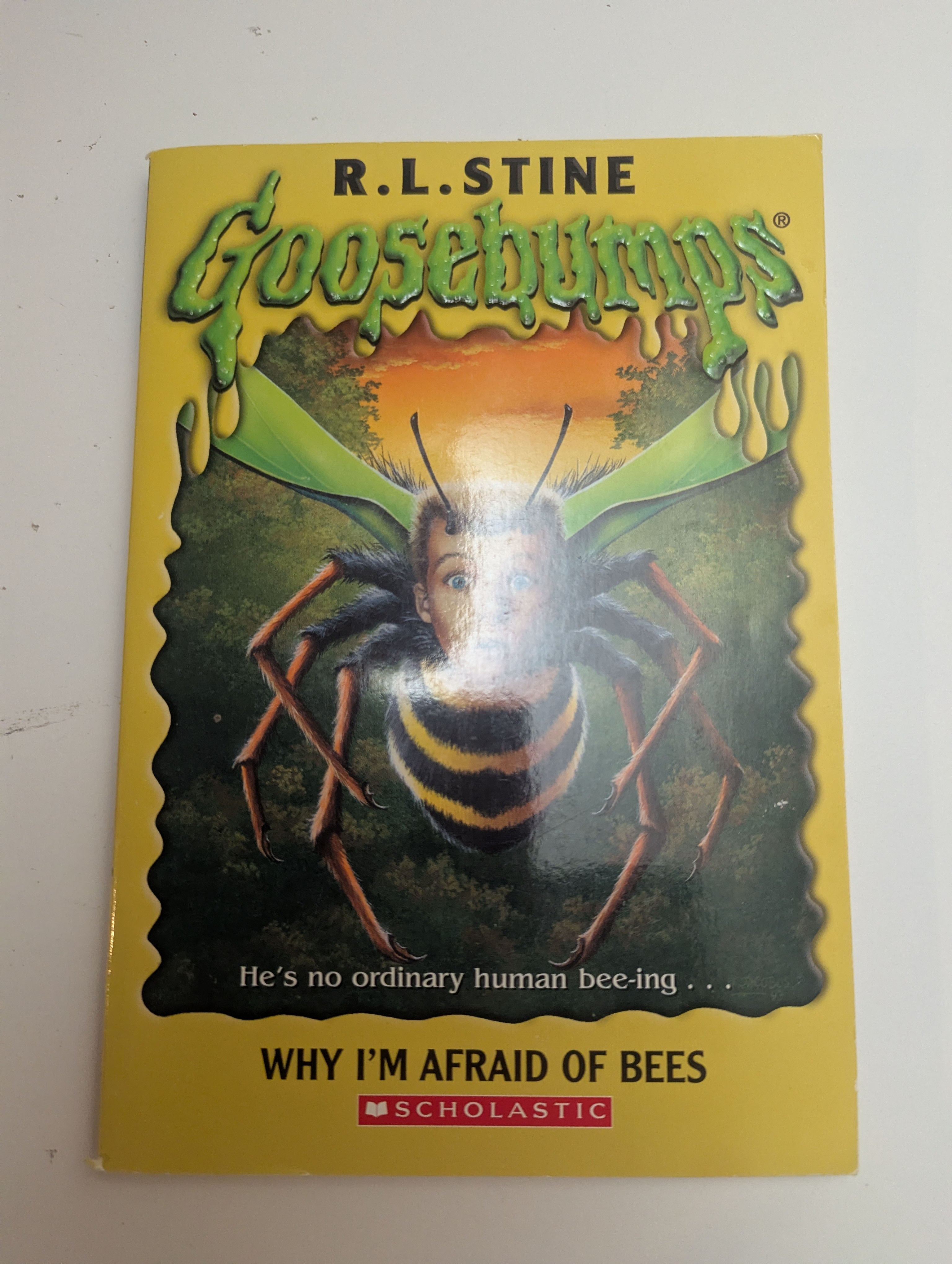 Goosebumps: Why I’m Afraid of Bees — by R.L. Stine - Lightly Used