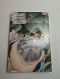 The Magician’s Nephew — by C.S. Lewis - Lightly Used