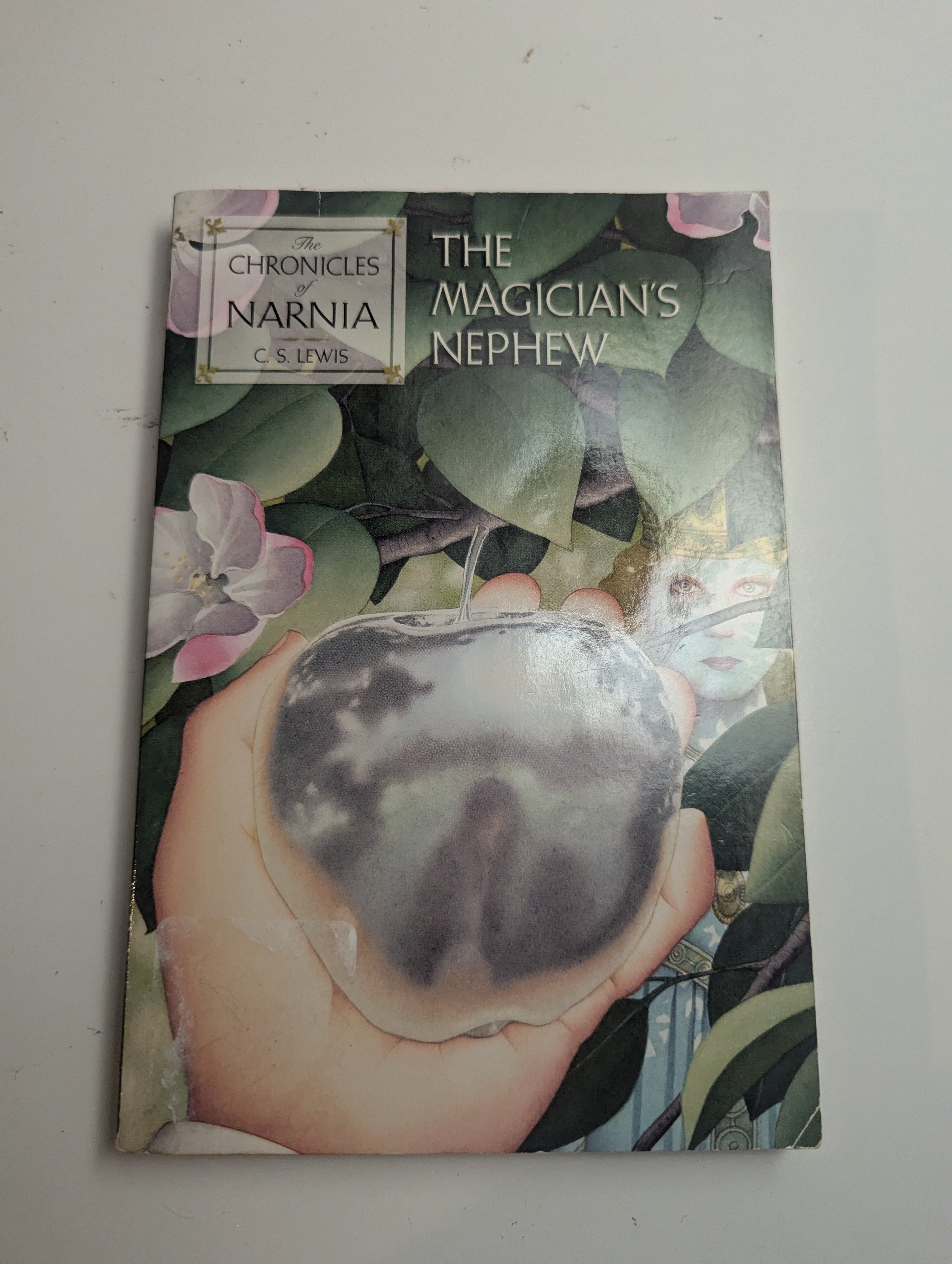 The Magician’s Nephew — by C.S. Lewis - Lightly Used