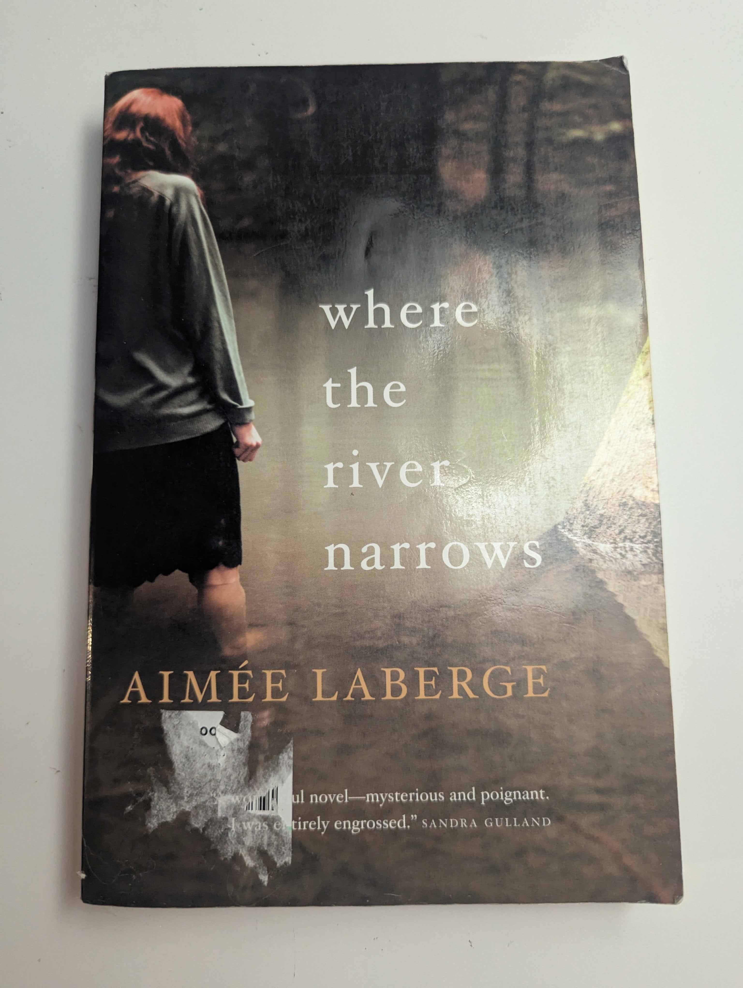 Where the River Narrows — by Aimee LaBerge - Lightly Used
