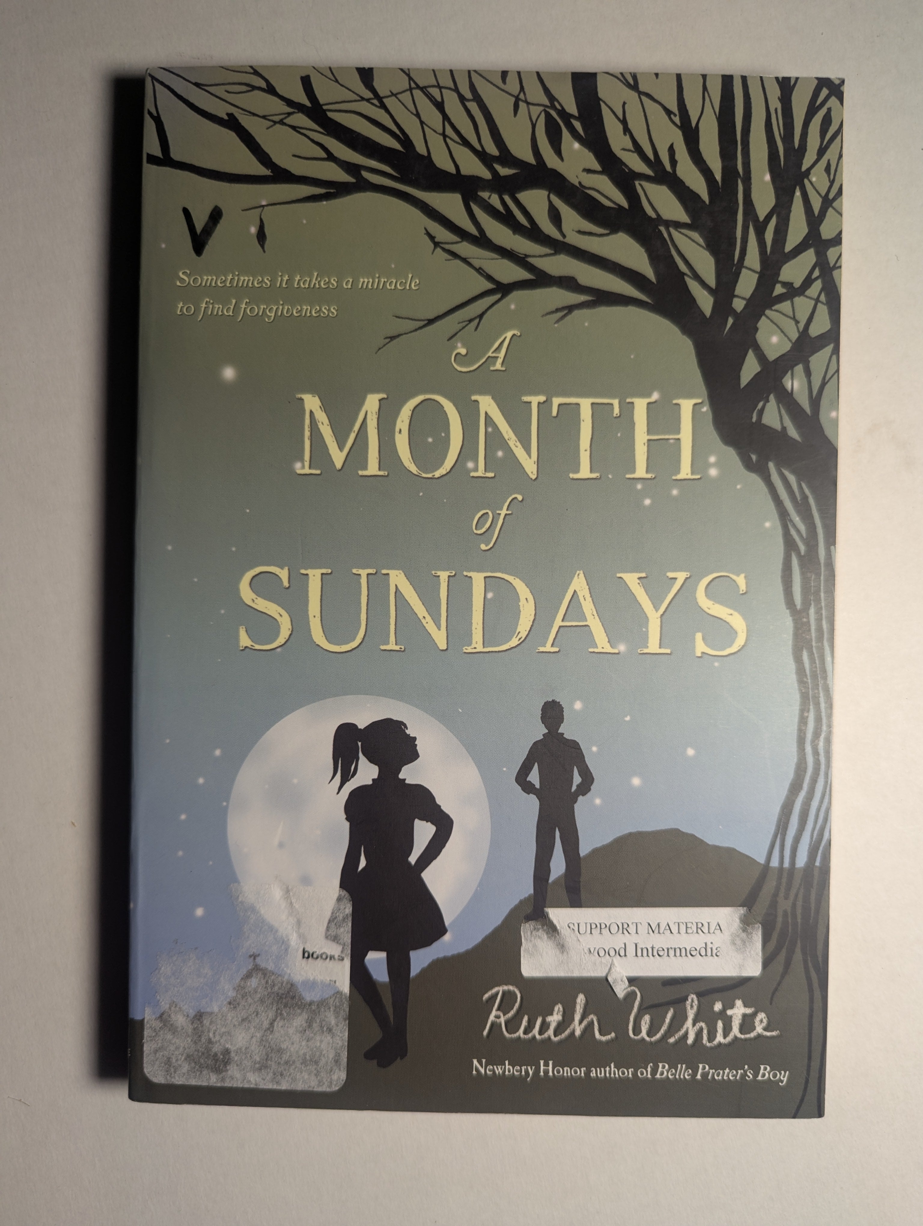 A Month of Sundays — by Ruth White - Lightly Used