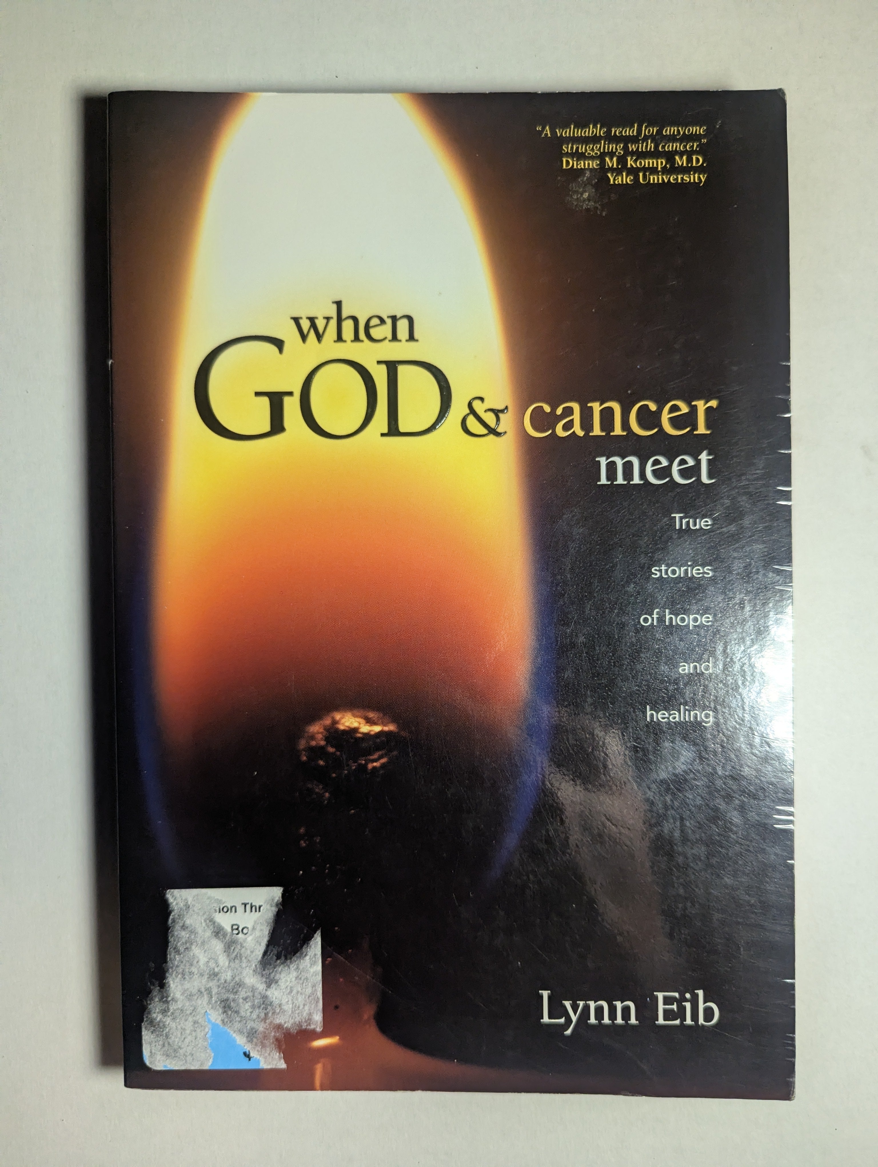 When God and Cancer Meet — by Lynn Eib - Lightly Used