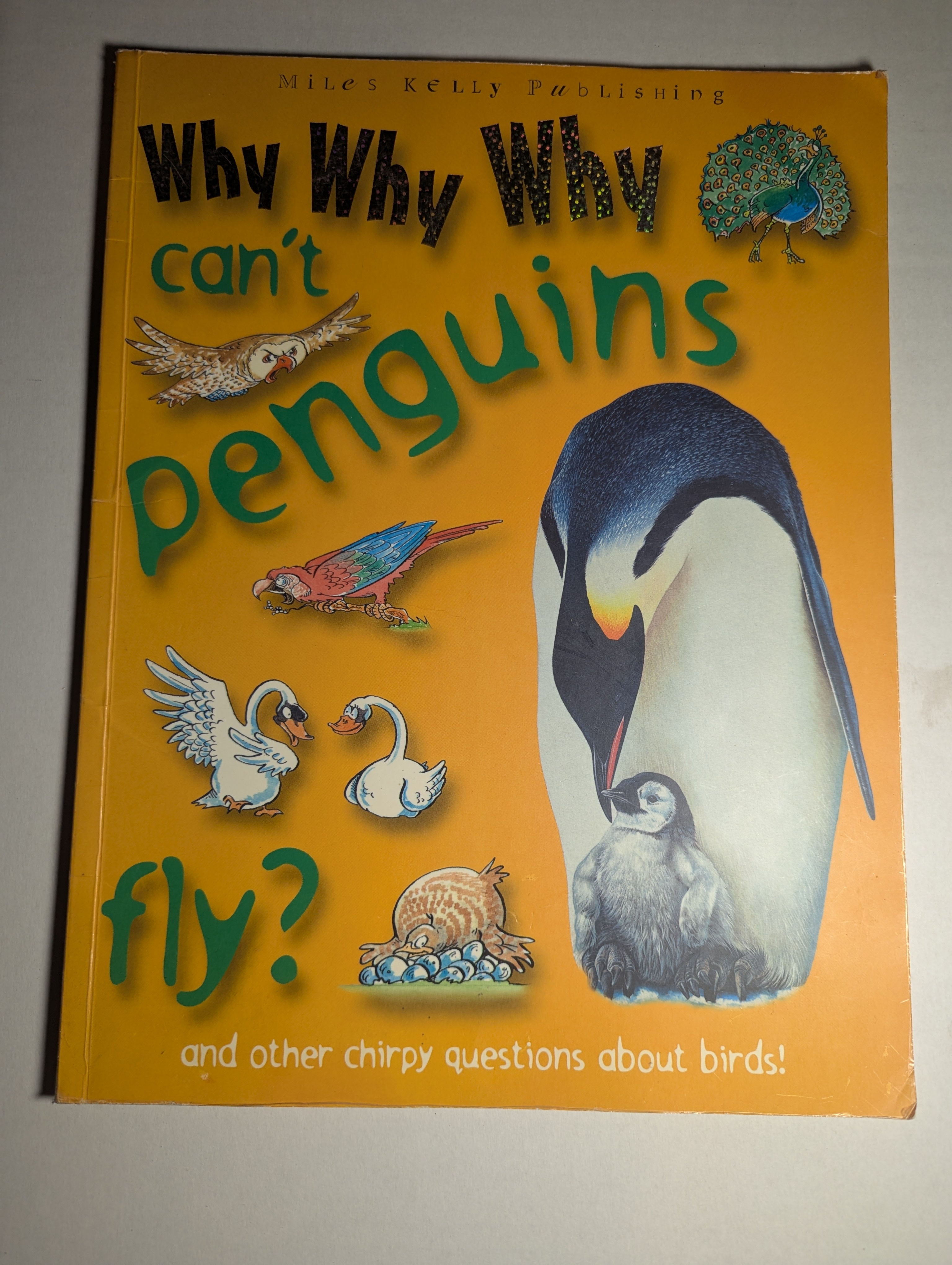 Why, Why, Why Can’t Penguins Fly? — Camilla de la Bedoyere - Lightly Used