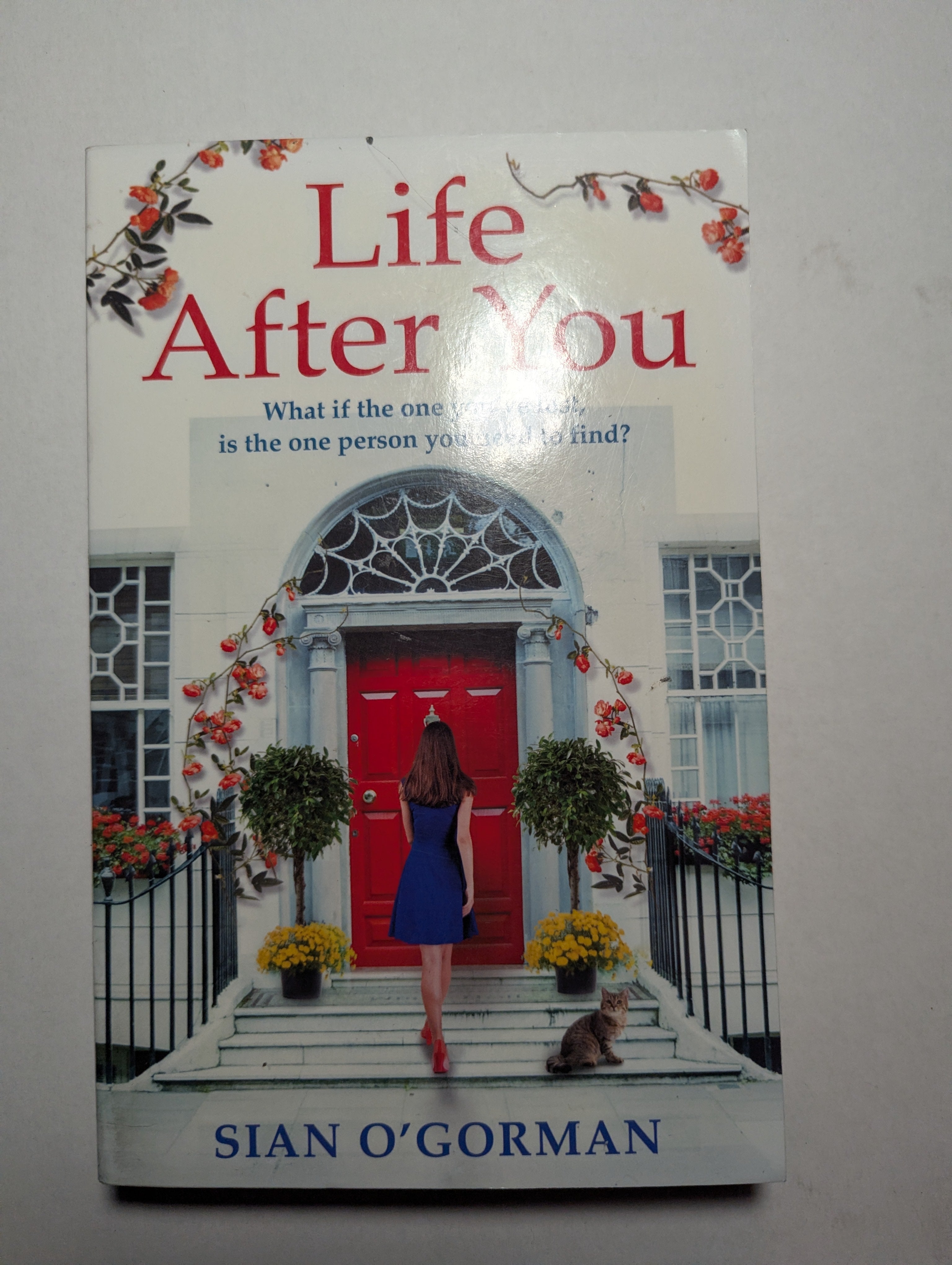Life After You — by Sian O’Gorman - Lightly Used