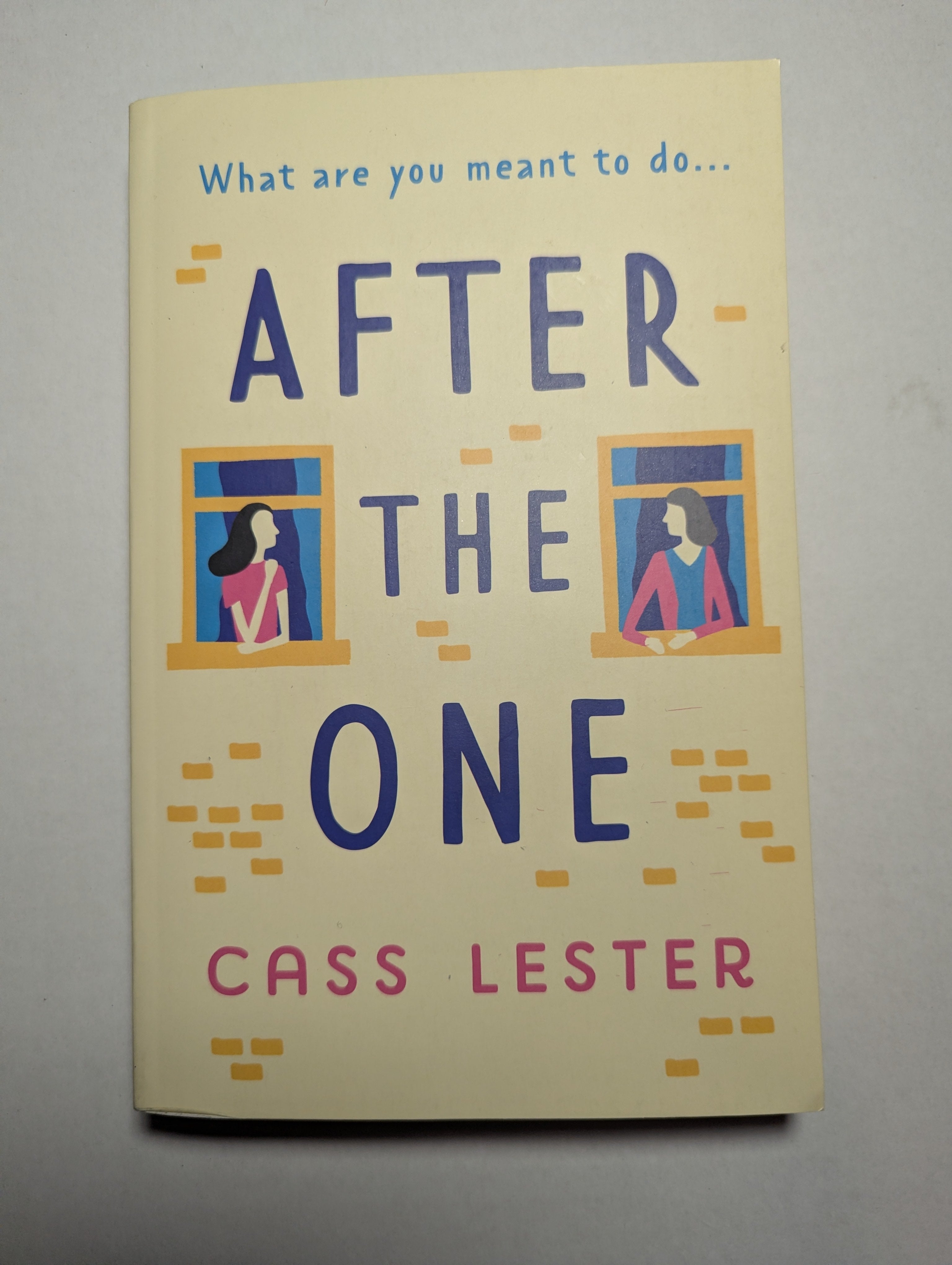 What Are You Meant to Do… After The One — by Cass Lester - Lightly Used