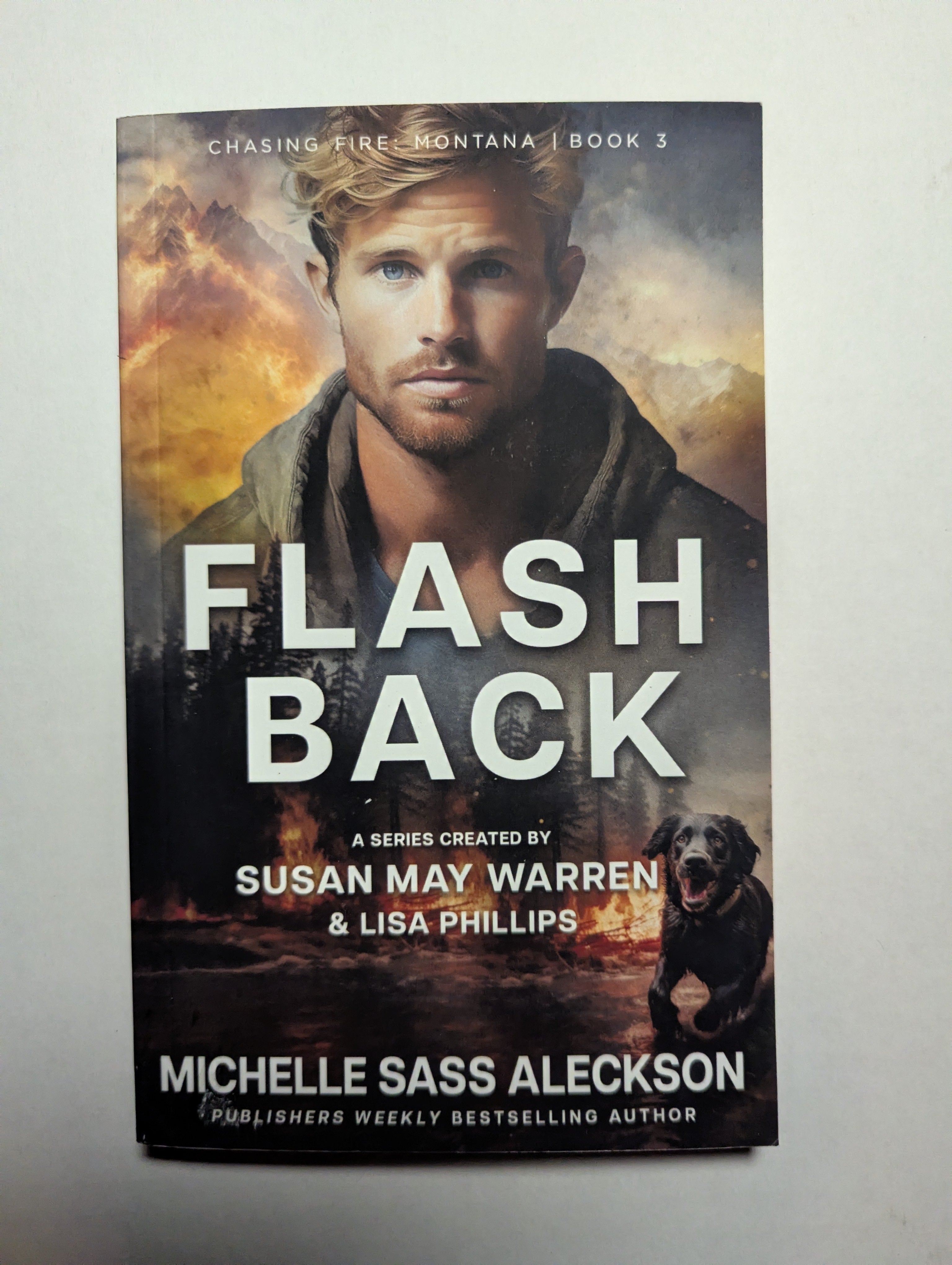 Flashback (Book 3) — by Susan May Warren