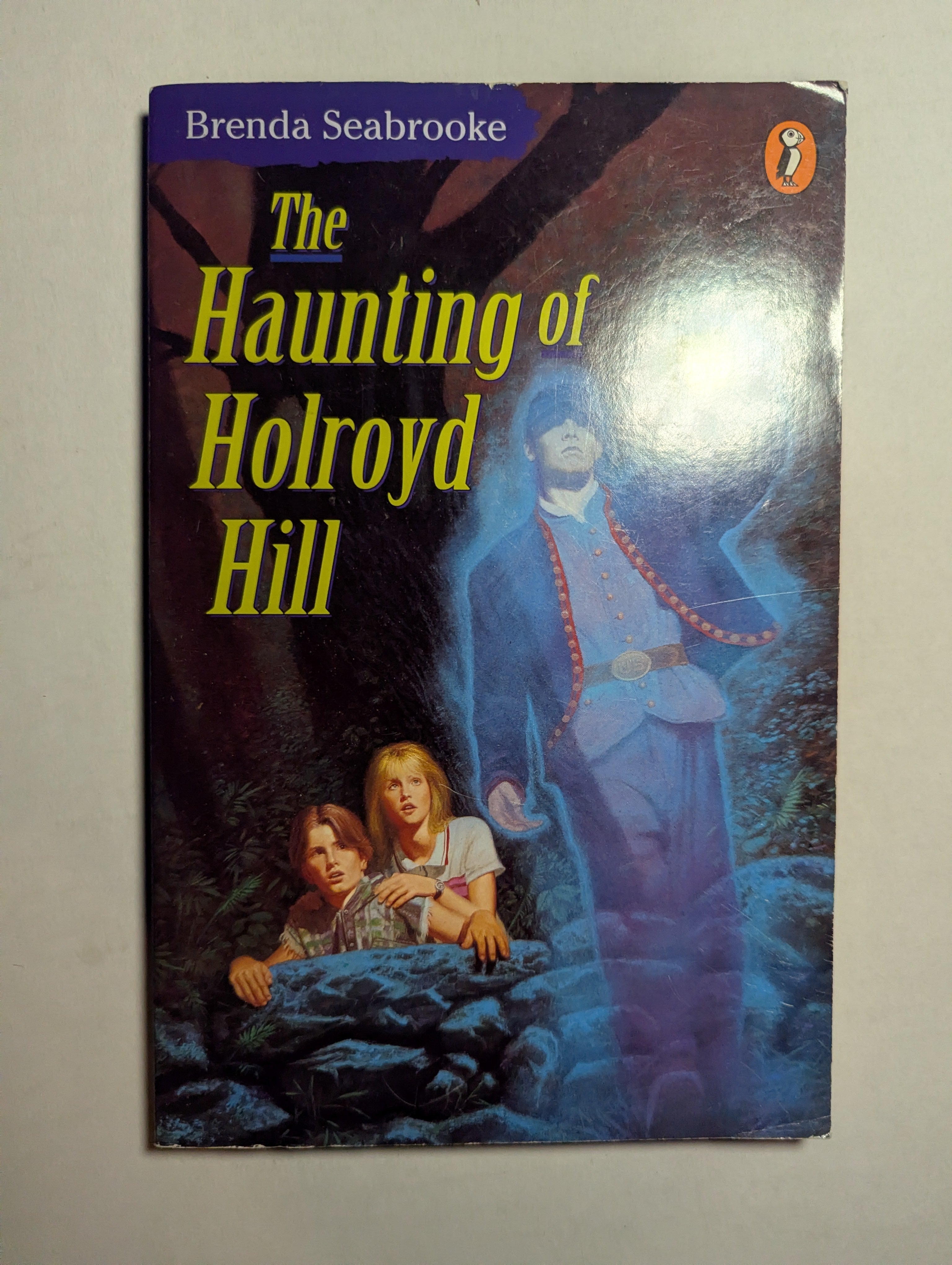 The Haunting of Holroyd Hill — by Brenda Seabrooke - Lightly Used