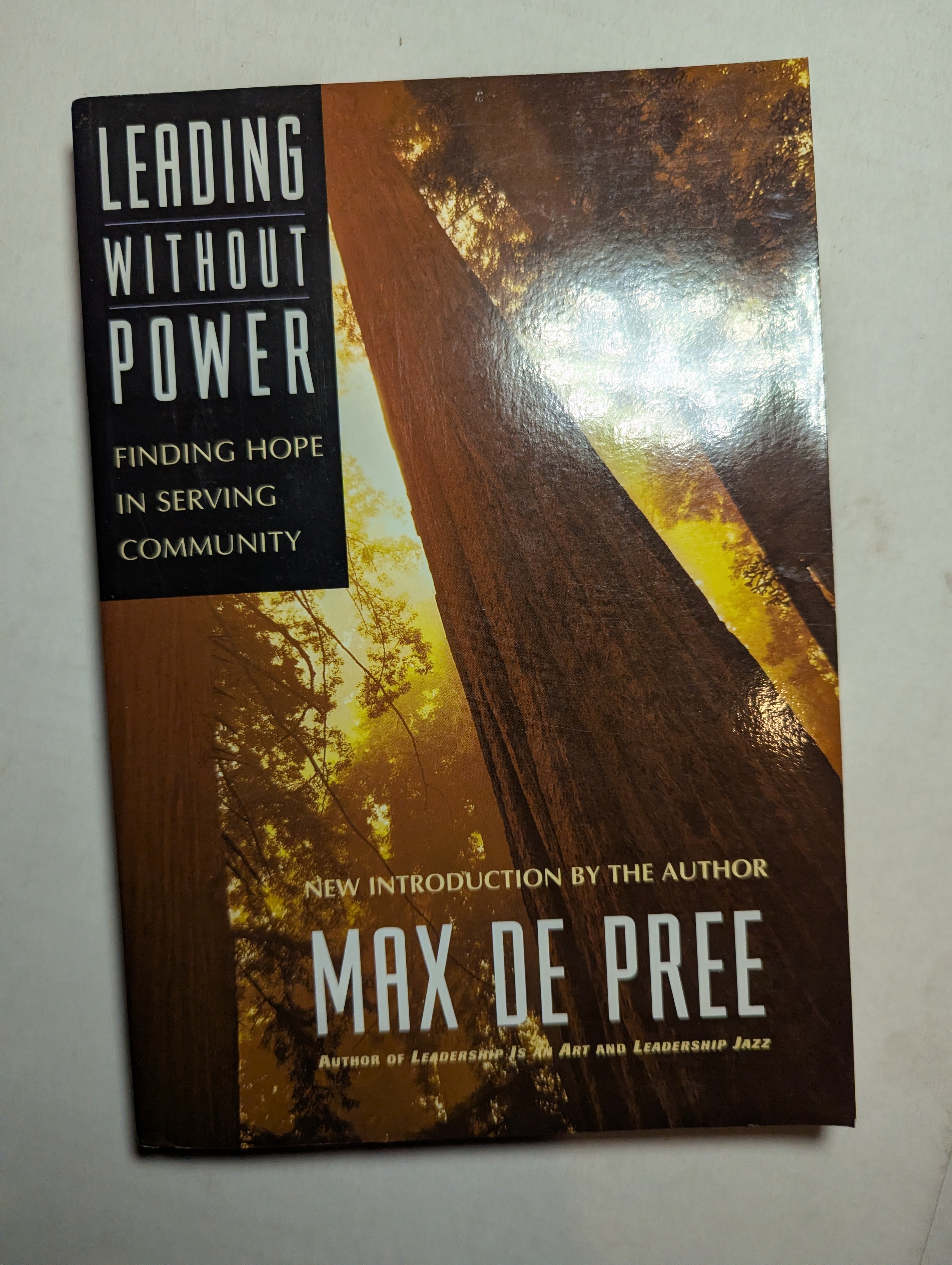 Leading Without Power — by Max De Pree - Lightly Used