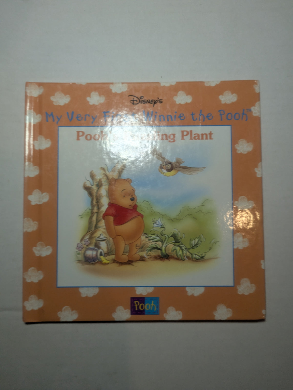 Pooh’s Puzzling Plant — by Agnes Sumner - Lightly Used