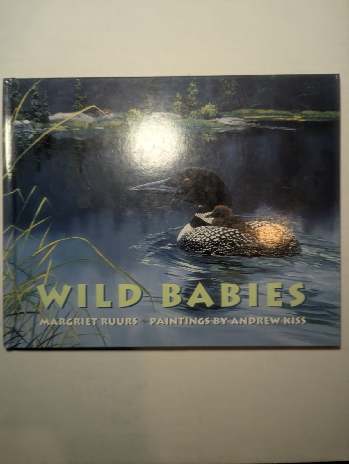 Wild Babies — by Margriet Ruurs - Lightly Used